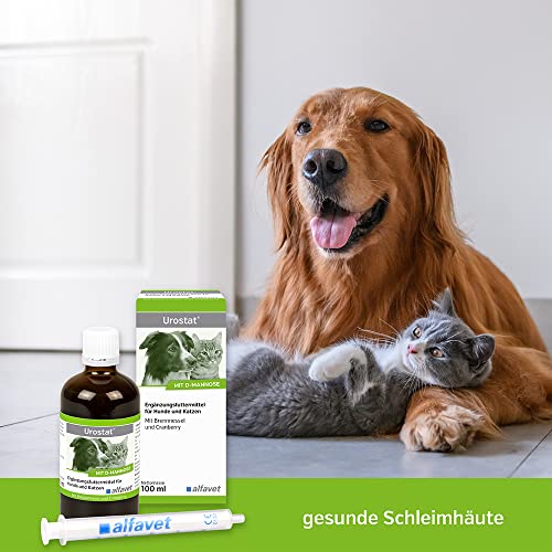 Urostat® Unidad: 100 ml suplemento alimenticio para perros y gatos con ortiga y arándano