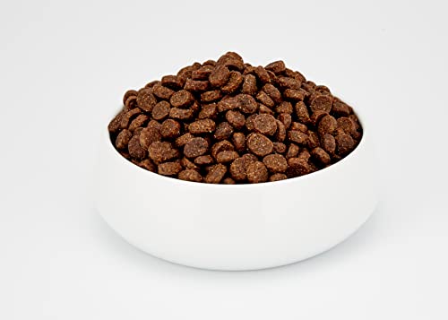 Venandi Animal - pienso seco para Gatos - Cordero como pienso seco - Completamente Libre de Cereales - 300 g