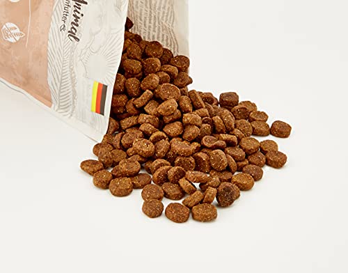 Venandi Animal - pienso seco para Gatos - Salmón como pienso seco - Completamente Libre de Cereales - 300 g