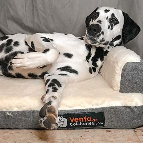 Ventadecolchones - Cama Ortopédica para Perro Deluxe Desenfundable - Grande: 120 x 75 cm - Tela Loneta Premium Azul - 3 cm de Visco + 7 cm de Espuma