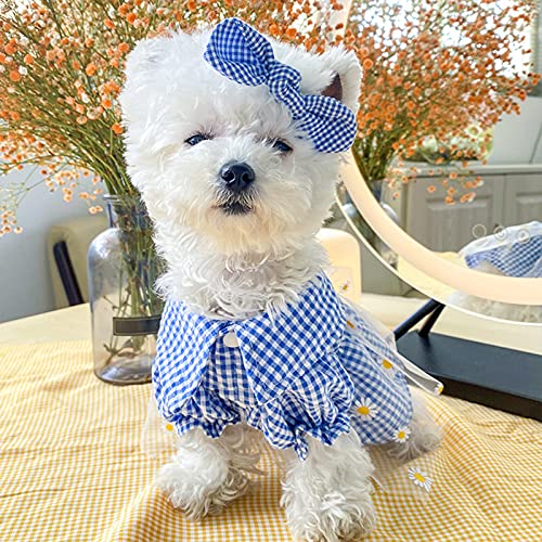 Vestido para perro con estampado de crisantemo, cuello de vuelta, poliéster, hermosa falda de princesa para mascotas, ropa cómoda para mascotas/azul/rosa para la vida diaria fiesta al aire libre-1