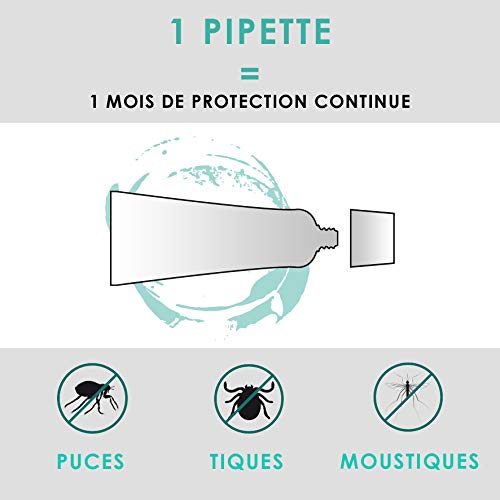 VETOCANIS Antipulgas y antigarrapatas para Gatos con 4 pipetas como Repelente eficaz con 4 x 1 Mes de duración de protección.