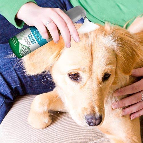 Vet's Best Baño de Perro sin Agua | No Enjuague Champú Seco para Perros | Fórmula Natural Refresca el Revestido y controla el Olor Entre baños 147 ml