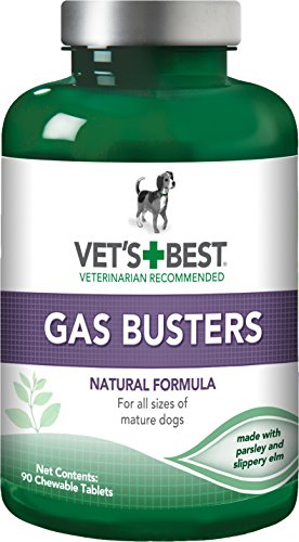 Vet's Best Gas Busters Suplementos para Perros para Gases, distensión Abdominal, Alivio del estreñimiento y Ayuda para la digestión para Perros 280 g