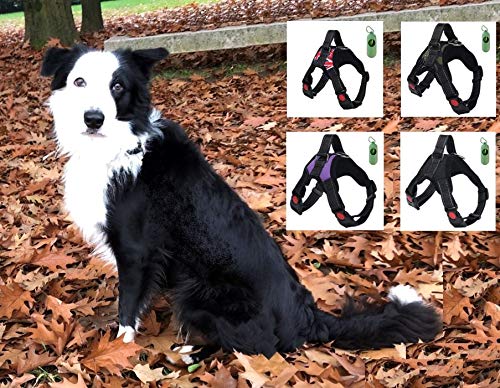 VF Arnés de perro Lex ajustable con asa superior apta para cualquier perro, ideal para caminar, correr y adiestramiento. Dispensador de bolsas higiénicas (L, negro)