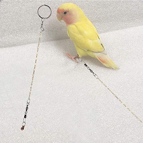 ViaGasaFamido Bird Foot Chain, Acero Inoxidable Pet Birds Parrot Foot Chain Tobillera Arnés de Entrenamiento Bird Anti Flying Tobillo Foot Ring Accesorios para Diferentes Loros(Agapornis)