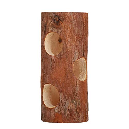 ViaGasaFamido Túnel de hámster, Tubo de Ejercicio de Madera Natural Túnel de hámster Juguete para Masticar Pequeño árbol para Mascotas Agujero Escondite Jugar Descanso Tubo de Ejercicio Accesorio(S)