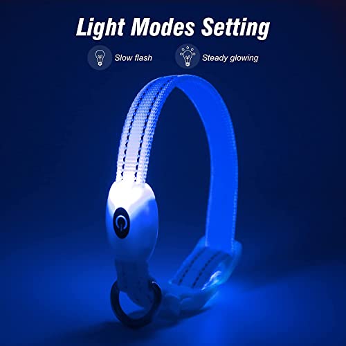 Visinite Collar Luminoso Perro, Collar Luz Perro para La Oscuridad, Nightcollares Luminosos para Perros Recargable a Prueba de Agua, Glow In The Dark Dog Light Up Collar para Caminar,Azul,S