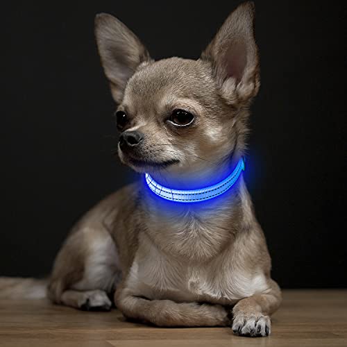 Visinite Collar Luminoso Perro, Collar Luz Perro para La Oscuridad, Nightcollares Luminosos para Perros Recargable a Prueba de Agua, Glow In The Dark Dog Light Up Collar para Caminar,Azul,S