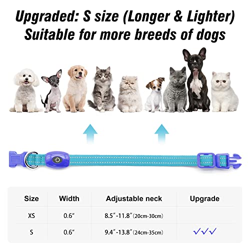 Visinite Collar Luminoso Perro, Collar Luz Perro para La Oscuridad, Nightcollares Luminosos para Perros Recargable a Prueba de Agua, Glow In The Dark Dog Light Up Collar para Caminar,Azul,S