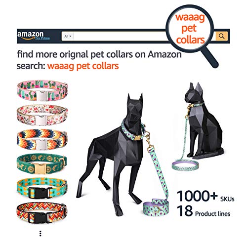 waaag Artículos para mascotas, collar para gatos, collar para perros, correa para gatos, correa para perros, arnés para gatos, arnés para perros, collar para perros medianos (collares), M