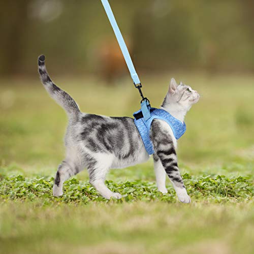 WD&CD Arnés para Gato, Antiescape y Ajustable Arnés Gato Transpirable para Correr, Entrenamiento, Gatos Pequeños y Medianos, Gatos Bebes para Caminar con Gatito, Azul, L