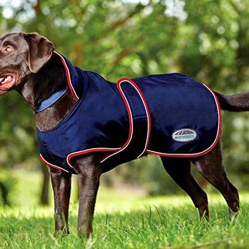 Weatherbeeta - Abrigo cortavientos para perros (55cm) (Azul Marino/Rojo/Blanco)