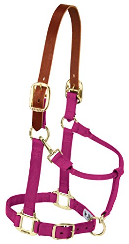 Weaver Leather Breakaway Original - Tira Ajustable para Barbilla y Garganta, 35-1022-RA, Raspberry, Weanling/Pony