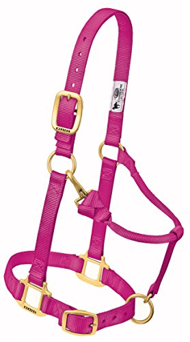 Weaver Leather Original Ajustable Nylon Caballo Halter, Frambuesa, 2,54 cm Promedio