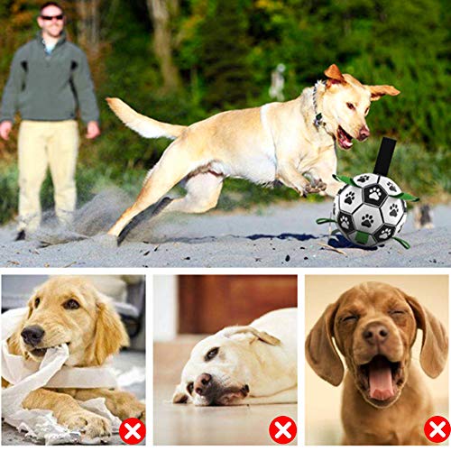 WeChip Pelota Juguete Perro,Juguetes Perro Masticar,Juguete morder Perro con Tubo Inflable y Silbato de Entrenamiento con clicker,Fútbol Juguete Interactivo Perro para Entrenamiento y Ejercicio.