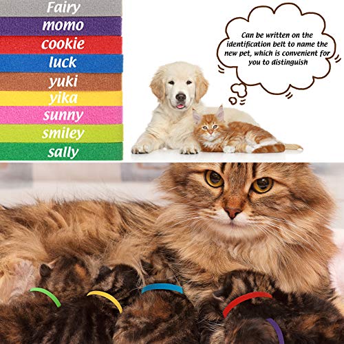 Weewooday 60 Piezas Collares de Cachorro Recién Nacidos Collares Identificación de Cachorros Recién Nacidos Multicolor Collares Perrito Suaves Bandas Identificación Ajustables Doble Cara, 15 Colores