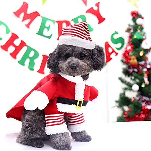 WELLXUNK® Disfraz de Papá Noel de Pet, Disfraz de Navidad para Mascotas, Disfraz de Navidad para Perros Lindo Santa Claus Ropa de Fiesta año Nuevo Divertido Disfraz para Fiestas de Mascotas (M)