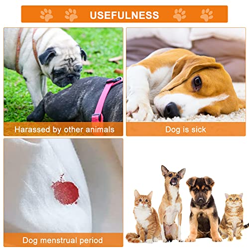 WELLXUNK Pañales para Perras,Pañales Reutilizables para Perras,Bragas Periódicas para Perra Lavable,Pañales Sanitarios para Mascotas Pantalón Sanitario para Perros con 3 Toallas Sanitarias (M)