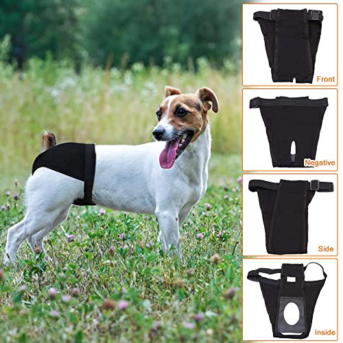 WELLXUNK Pañales para Perras,Pañales Reutilizables para Perras,Bragas Periódicas para Perra Lavable,Pañales Sanitarios para Mascotas Pantalón Sanitario para Perros con 3 Toallas Sanitarias (M)