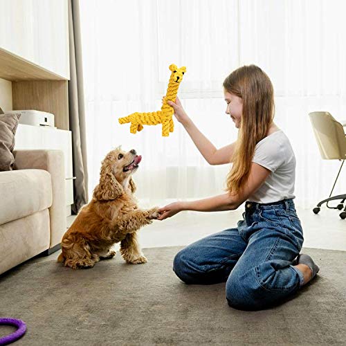 WELLXUNK Puppy Chew Toys, Juguetes para Perros, Limpieza de Dientes con Función de Cuidado Dental para Perro, Juguetes duraderos para Perros Cachorros Perros pequeños, Molar para Mascotas (B)