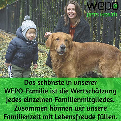 WEPO® Juguete para morder para perros, huesos para morder con función de cuidado dental - Hueso de caucho natural resistente para cachorros - Juguete para cachorros - Amarillo