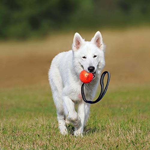 WEPO Juguete para perros, pelota con cuerda de caucho natural, para cachorros, pelota de lanzamiento para perros, pelota con cuerda/cuerda, color rojo