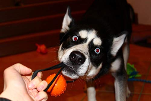 WEPO Juguete para perros, pelota de lanzamiento con cuerda de caucho natural, para cachorros, pelota con cuerda/cuerda, color naranja