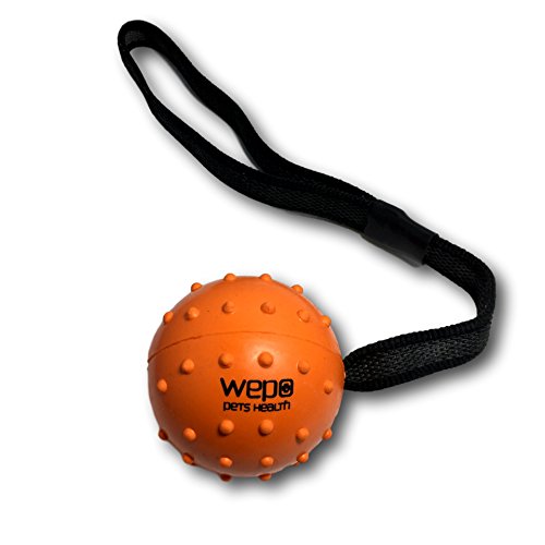 WEPO Juguete para perros, pelota de lanzamiento con cuerda de caucho natural, para cachorros, pelota con cuerda/cuerda, color naranja