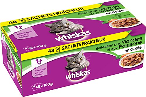 Whiskas - Alimento humedo para gatos, en gelatina (Salmón, Atún, Pollo, Ternera), 48 paquetes x 100g