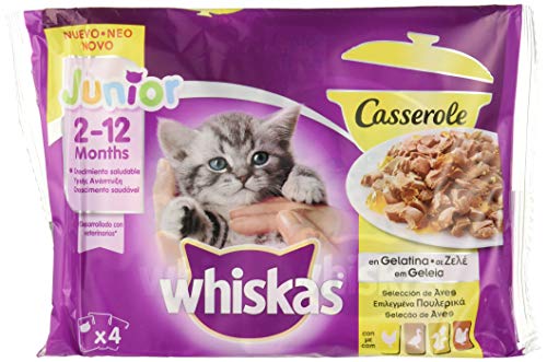 WHISKAS alimento para gatos junior en gelatina aves bolsa 4 x 100 gr