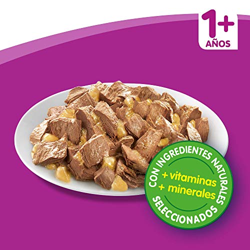 Whiskas Casserole Comida Húmeda para Gatos Adultos Selección Aves, Multipack (4 cajas x 12 sobres x 85g)