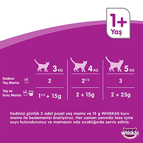 Whiskas Multipack de Comida Húmeda en Gelatina para gatos junior Selección Carnes (4 bolsitas x 100g)