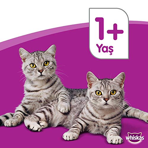 Whiskas Multipack de Comida Húmeda en Gelatina para gatos junior Selección Carnes (4 bolsitas x 100g)