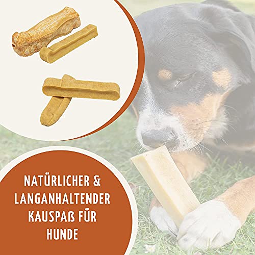 Wildfang® Palo para Masticar de Queso Duro para su Perro I Juguete de Perro - Hueso de Queso para Masticar - Cuidado Dental & Entrenamiento Muscular de la mandíbula I Hueso Duradero & Natural