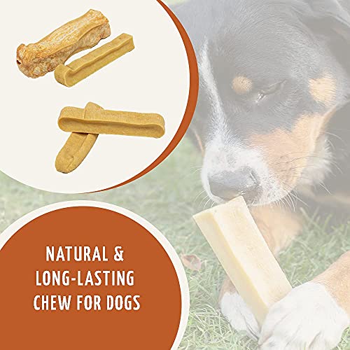 Wildfang® Palo para Masticar de Queso Duro para su Perro I Juguete de Perro - Hueso de Queso para Masticar - Cuidado Dental & Entrenamiento Muscular de la mandíbula I Hueso Duradero & Natural