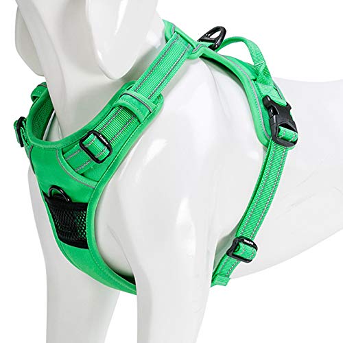 WINHYEPET Arnés para Perros True Love, sin tirón, con Clip Frontal, arneses para Coche, Ajustables con asa, Cuatro Puntos de Ajuste, Material Oxford Acolchado Reflectante, TLH5651 (Verde Hierba, L)