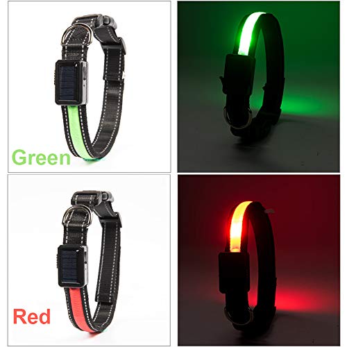 Wishdeal Collar de perro LED con panel solar y USB recargable para perros pequeños, medianos y grandes, Teddy Chihuahua Husky Bull Golden Retriever Labrador (L 50-60 cm, verde)