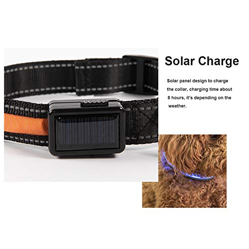 Wishdeal Collar de perro LED con panel solar y USB recargable para perros pequeños, medianos y grandes, Teddy Chihuahua Husky Bull Golden Retriever Labrador (L 50-60 cm, verde)