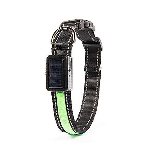 Wishdeal Collar de perro LED con panel solar y USB recargable para perros pequeños, medianos y grandes, Teddy Chihuahua Husky Bull Golden Retriever Labrador (L 50-60 cm, verde)