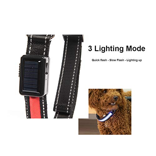 Wishdeal Collar de perro LED con panel solar y USB recargable para perros pequeños, medianos y grandes, Teddy Chihuahua Husky Bull Golden Retriever Labrador (L 50-60 cm, verde)