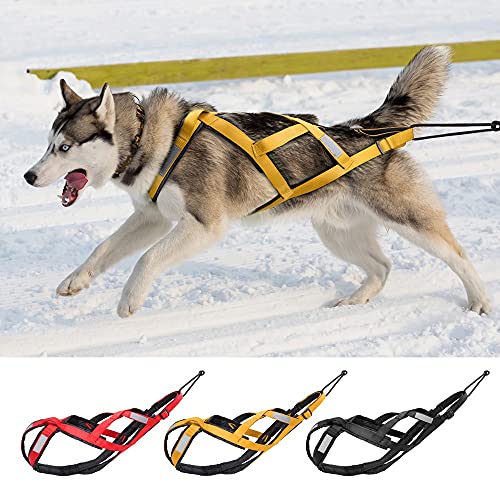 WLMT Perro Trineo arnés Mascota Peso tracción Trineo arnés mushing x arnés Trasero para Perros Grandes Husky canicross Skijoring scootingering Correa para Mascotas (Color : Red, tamaño : Large)