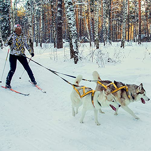 WLMT Perro Trineo arnés Mascota Peso tracción Trineo arnés mushing x arnés Trasero para Perros Grandes Husky canicross Skijoring scootingering Correa para Mascotas (Color : Red, tamaño : Large)