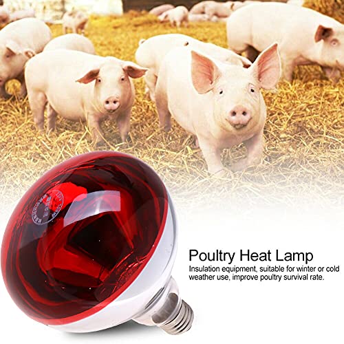 WOERD Lámpara De Calefacción De Pollo, Lámpara De Calor para Cachorros, Espesar Lámpara De Calor para Lechones De Granja, E27 Bombilla De Lámpara De Calor para Aves De Corral Criadora(Color:100W)