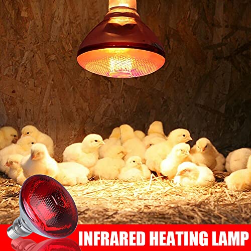 WOERD Lámpara De Calor Infrarrojo, Lámpara De Calor para Pollitos, Prueba De Explosiones Bombilla De Calentamiento para Reptiles, E27 Herramienta Granja De Cerdos para Mascota Pollo(Color:200W)