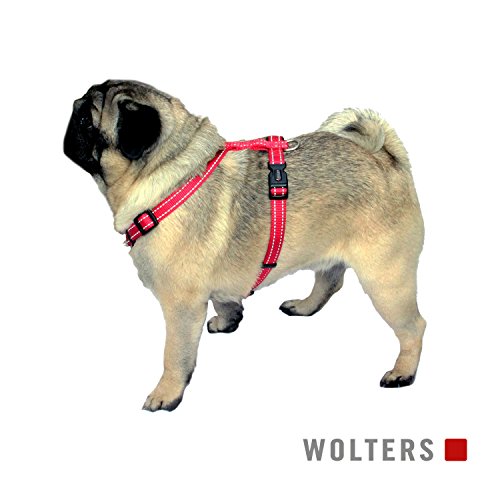 wolters | Soft & Safe para Carlino & Co. Negro | 50 – 80 cm