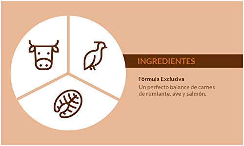 WOLVES LEGACY® Pienso para Perros Adulto Super Premium | Todas Las Razas pequeñas, Medianas y Grandes | con Salmón Fresco, Buey y Pollo (12kg)