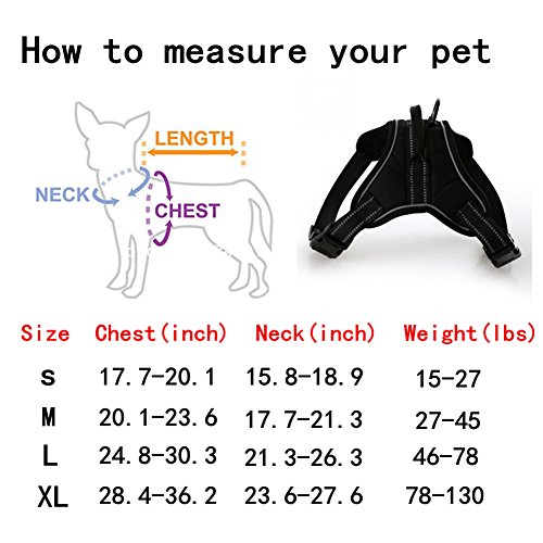 Wondder Arnés para Chaleco de Perro, Transpirable Ajustable Reflectante Arnés de Perro con Correa para Caminar por Mascotas Fuera Formación (M, Negro)