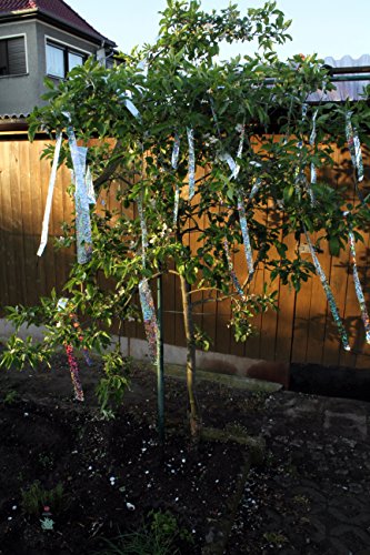 WRPS - Cinta reflectante para ahuyentar pájaros y aves (1 unidad de 100 m y 1 unidad de 50 m)