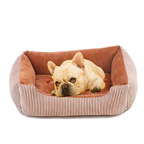 XCVXCV Cama Perro Grande, Invierno Cálida Antideslizante Suave Cálida Cama para Perros Gatos, Duradero Cama Perro Antiestres Impermeable para Grande Mediano Pequeños Gatos Masco(Size:L,Color:Rojo)